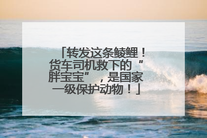 转发这条鲮鲤！货车司机救下的“胖宝宝”，是国家一级保护动物！