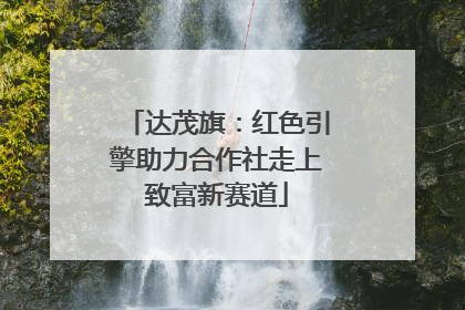 达茂旗：红色引擎助力合作社走上致富新赛道