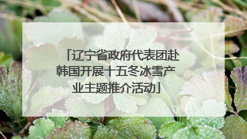 辽宁省政府代表团赴韩国开展十五冬冰雪产业主题推介活动