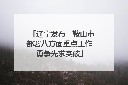 辽宁发布｜鞍山市部署八方面重点工作勇争先求突破