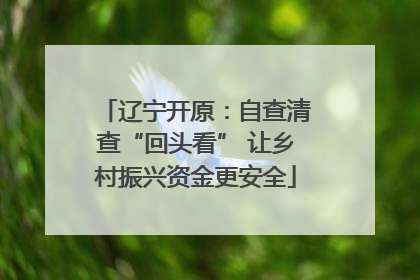辽宁开原：自查清查“回头看” 让乡村振兴资金更安全