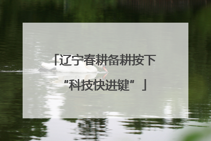 辽宁春耕备耕按下“科技快进键”