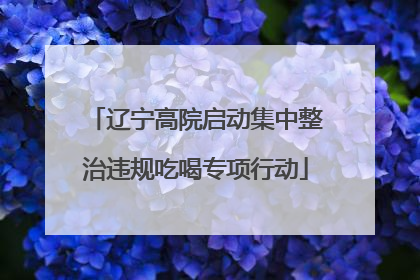 辽宁高院启动集中整治违规吃喝专项行动