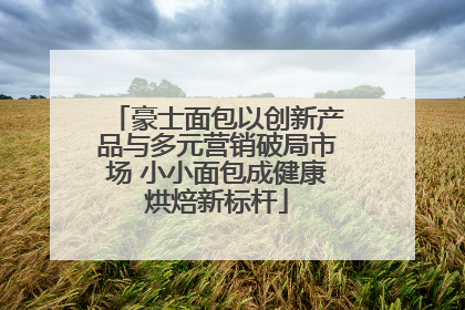 豪士面包以创新产品与多元营销破局市场 小小面包成健康烘焙新标杆