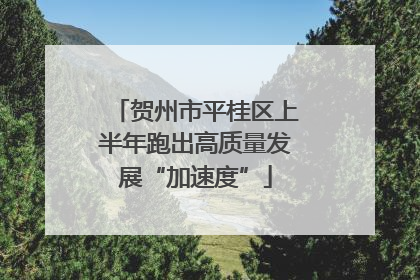 贺州市平桂区上半年跑出高质量发展“加速度”