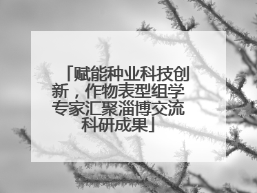 赋能种业科技创新，作物表型组学专家汇聚淄博交流科研成果