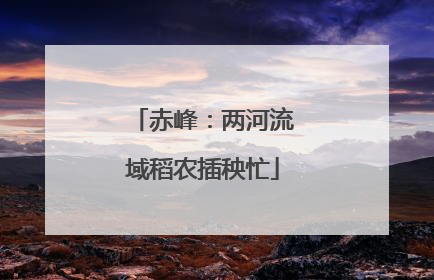 赤峰：两河流域稻农插秧忙