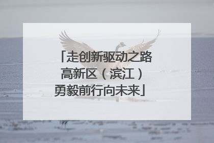 走创新驱动之路 高新区（滨江）勇毅前行向未来