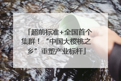 超前标准+全国首个集群！“中国大樱桃之乡”重塑产业标杆