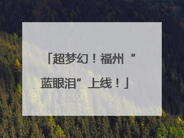 超梦幻！福州“蓝眼泪”上线！