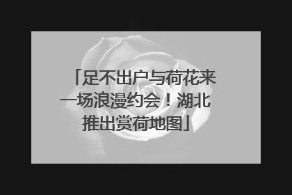 足不出户与荷花来一场浪漫约会！湖北推出赏荷地图
