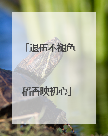 退伍不褪色 稻香映初心