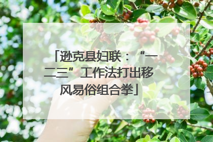 逊克县妇联：“一二三”工作法打出移风易俗组合拳