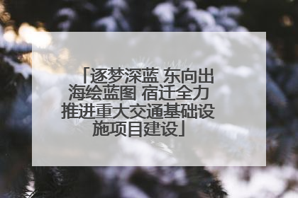 逐梦深蓝 东向出海绘蓝图 宿迁全力推进重大交通基础设施项目建设