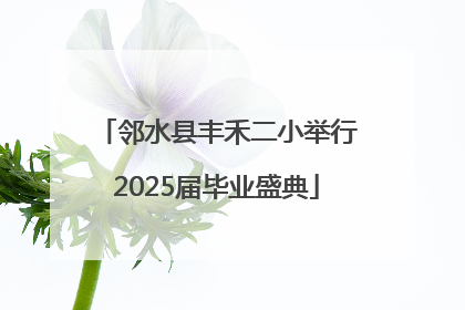 邻水县丰禾二小举行2025届毕业盛典