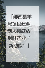 郧西县羊尾镇搭建调制大棚激活烟叶产业“新动能”