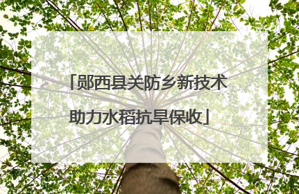 郧西县关防乡新技术助力水稻抗旱保收