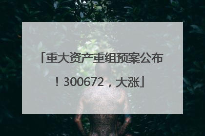 重大资产重组预案公布！300672，大涨