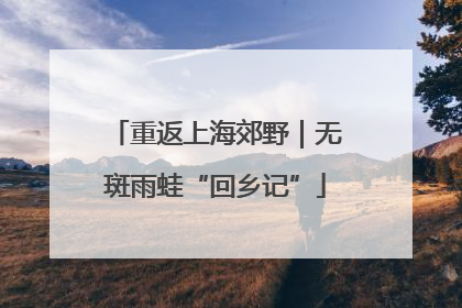 重返上海郊野｜无斑雨蛙“回乡记”