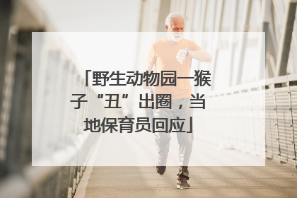 野生动物园一猴子“丑”出圈，当地保育员回应