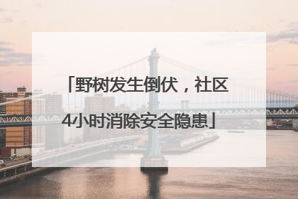 野树发生倒伏，社区4小时消除安全隐患