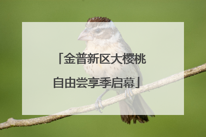 金普新区大樱桃自由尝享季启幕
