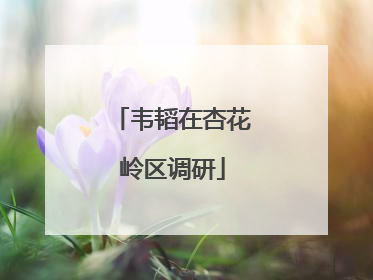 韦韬在杏花岭区调研