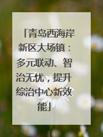 青岛西海岸新区大场镇：多元联动、智治无忧，提升综治中心新效能