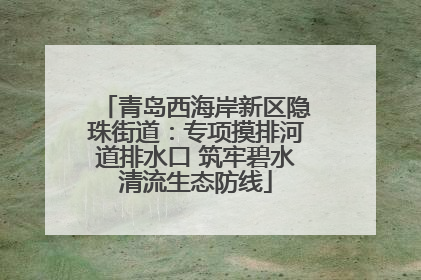 青岛西海岸新区隐珠街道：专项摸排河道排水口 筑牢碧水清流生态防线