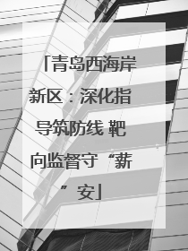 青岛西海岸新区：深化指导筑防线 靶向监督守“薪”安