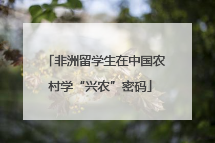 非洲留学生在中国农村学“兴农”密码