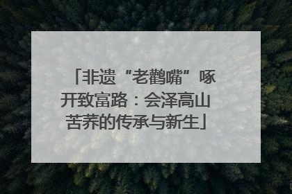 非遗“老鹳嘴”啄开致富路：会泽高山苦荞的传承与新生