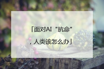 面对AI“抗命”，人类该怎么办