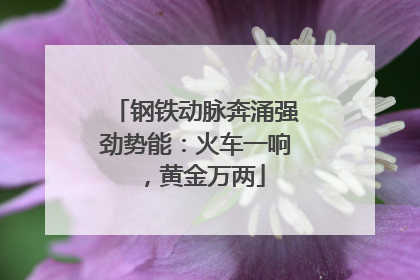 钢铁动脉奔涌强劲势能：火车一响，黄金万两