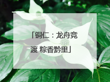铜仁：龙舟竞渡 粽香黔里