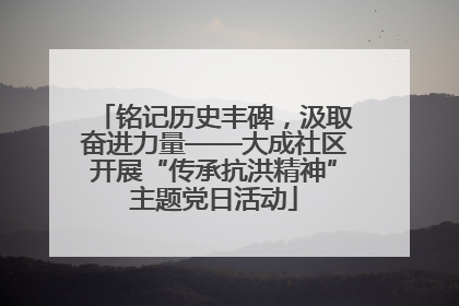 铭记历史丰碑，汲取奋进力量——大成社区开展“传承抗洪精神”主题党日活动