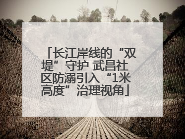 长江岸线的“双堤”守护 武昌社区防溺引入“1米高度”治理视角