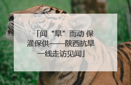 闻“旱”而动 保灌保供——陕西抗旱一线走访见闻