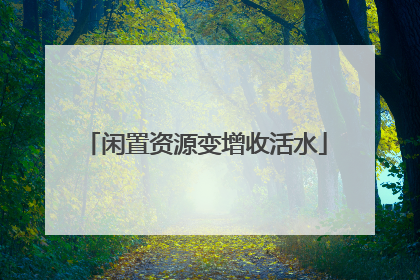 闲置资源变增收活水