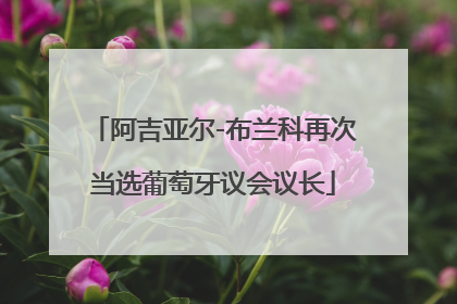 阿吉亚尔-布兰科再次当选葡萄牙议会议长