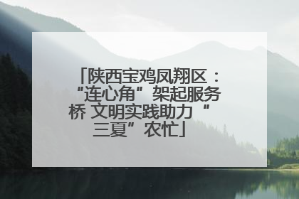 陕西宝鸡凤翔区：“连心角”架起服务桥 文明实践助力“三夏”农忙
