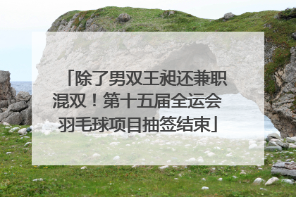除了男双王昶还兼职混双！第十五届全运会羽毛球项目抽签结束