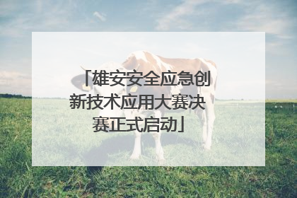 雄安安全应急创新技术应用大赛决赛正式启动