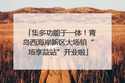 集多功能于一体！青岛西海岸新区大场镇“场享益站”开业啦