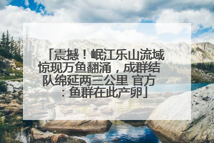 震撼！岷江乐山流域惊现万鱼翻涌，成群结队绵延两三公里 官方：鱼群在此产卵