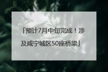 预计7月中旬完成！涉及咸宁城区50座桥梁