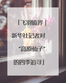 飞羽镜界｜新华社记者对“高原仙子”的四季追寻