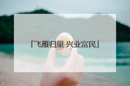 飞雁归巢 兴业富民