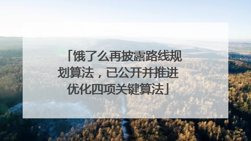 饿了么再披露路线规划算法，已公开并推进优化四项关键算法