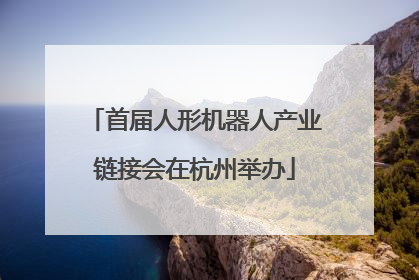 首届人形机器人产业链接会在杭州举办